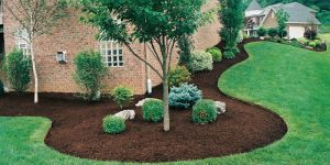 pic of lawn mulched and edged